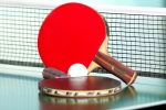 Сыктывкарцы завоевали 6 медалей на турнире по настольному теннису «Кубок Двины»