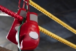 В Сыктывкар съедутся более 100 боксёров