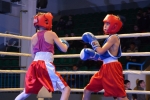 В Сыктывкаре завершился турнир по боксу