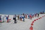 Лыжники Республики Коми успешно выступили на Первенстве Северо-Запада в Череповце