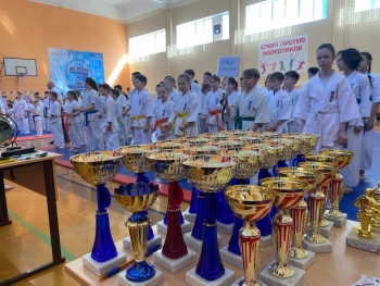 В Емве определили сильнейших в соревнованиях по всестилевому каратэ памяти В. Островецкого
