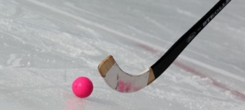 Сыктывкар впервые примет Кубок России по мини-хоккею с мячом