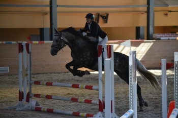 Спортсменки Республики Коми успешно выступили на турнире по конному спорту в Татарстане